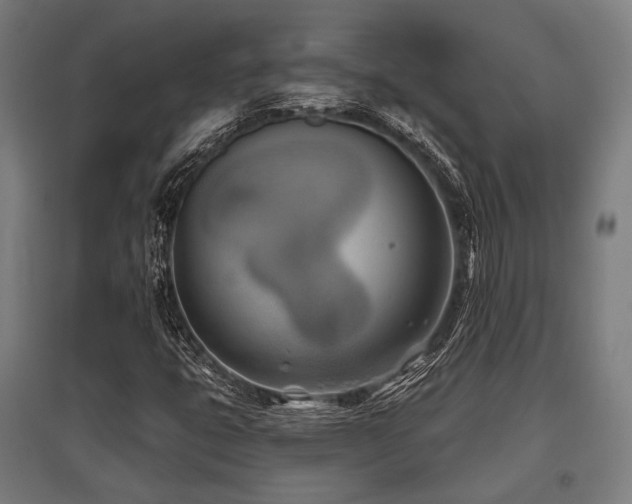 X0000096151399200801181152