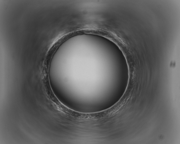 X0000096151400200801181152