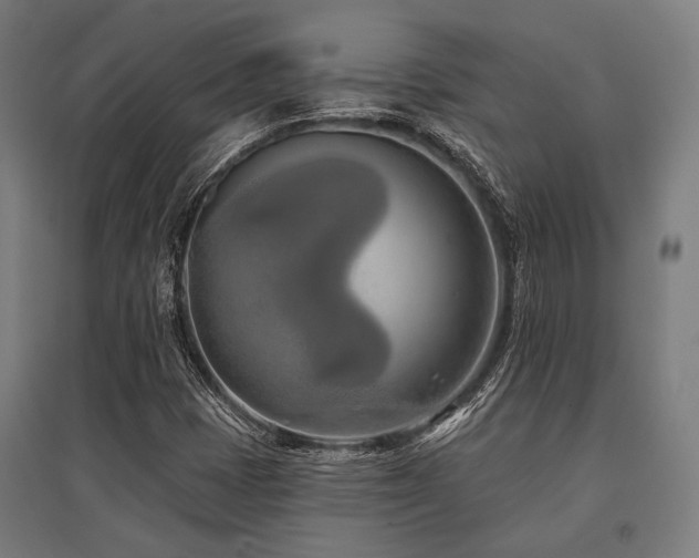 X0000096151401200801181152
