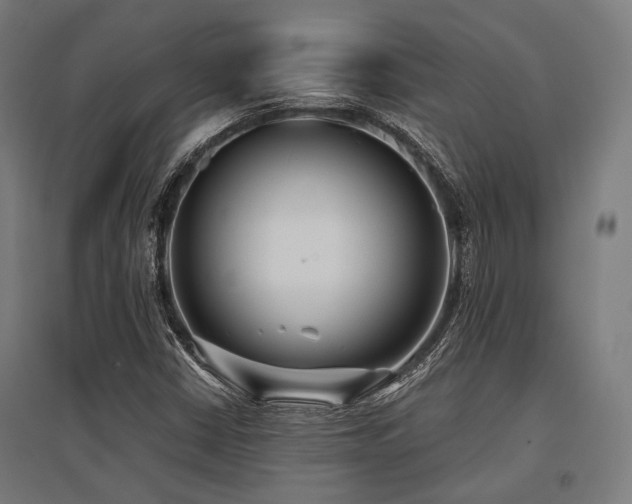 X0000096151402200801181152