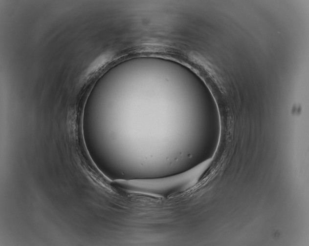 X0000096151403200801181152