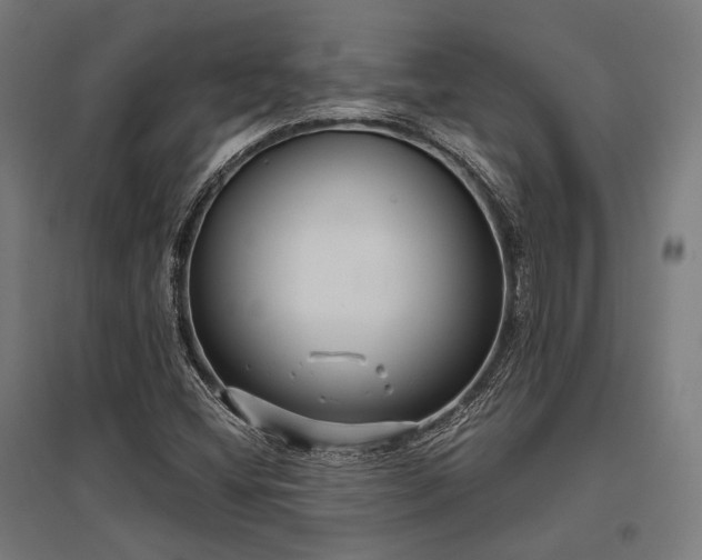 X0000096151404200801181152