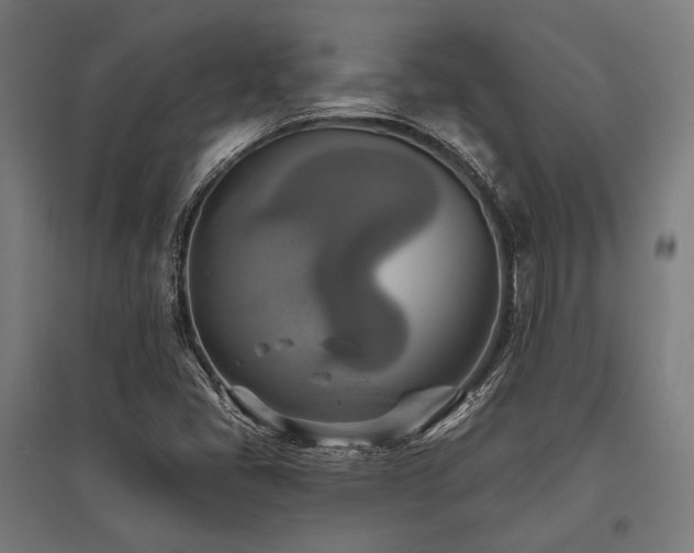 X0000096151405200801181152