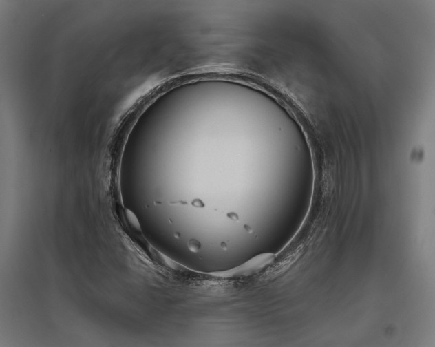 X0000096151406200801181152