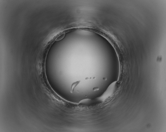 X0000096151407200801181152