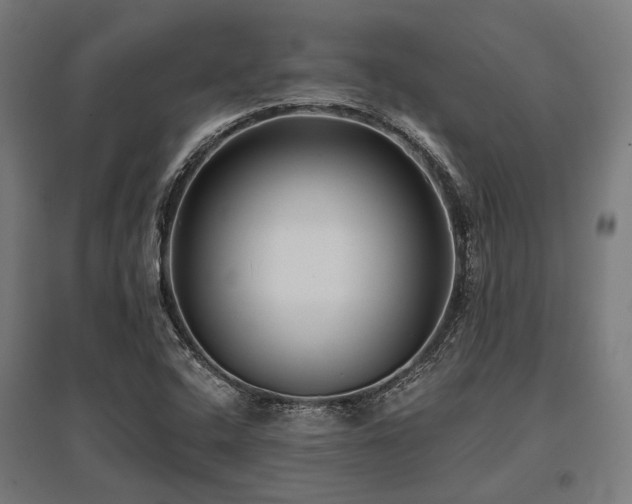 X0000096151408200801181152