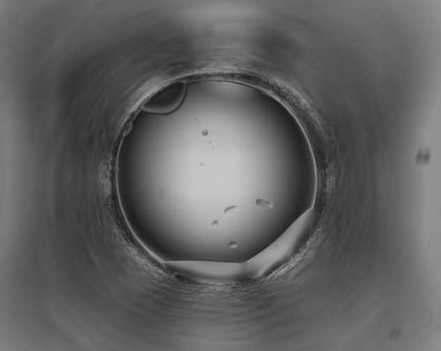 X0000096151409200801181152