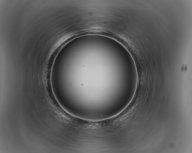 X0000096151410200801181152