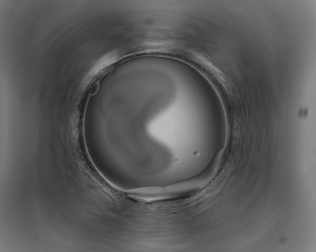 X0000096151411200801181152