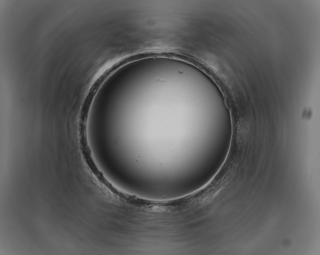 X0000096151412200801181152