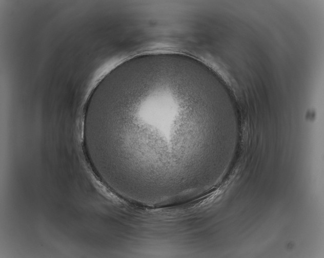 X0000096151413200801181152