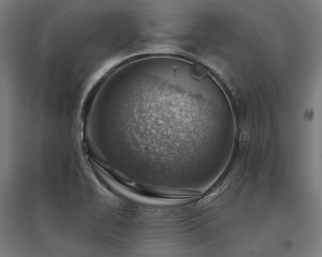 X0000096151414200801181152