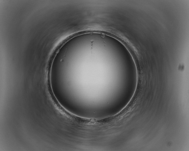 X0000096151416200801181152