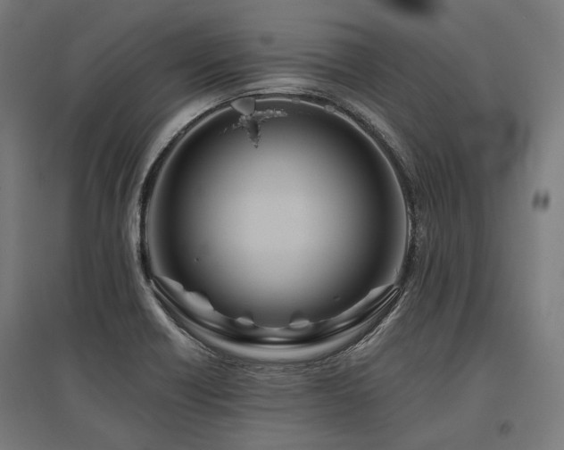 X0000096151418200801181152