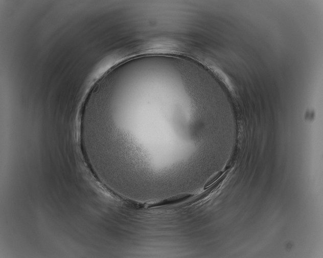 X0000096151419200801181152