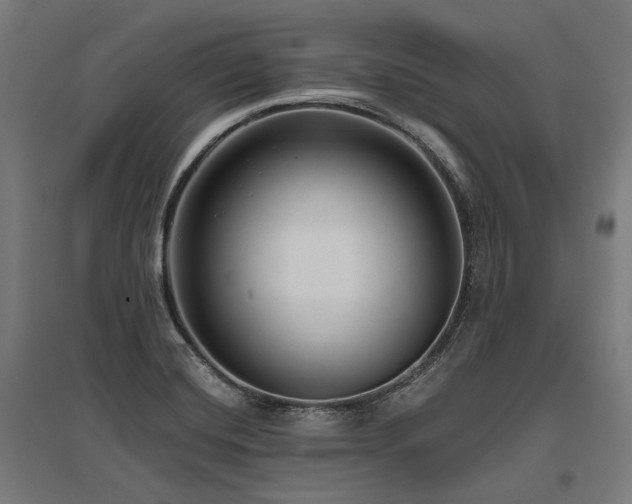 X0000096151420200801181152