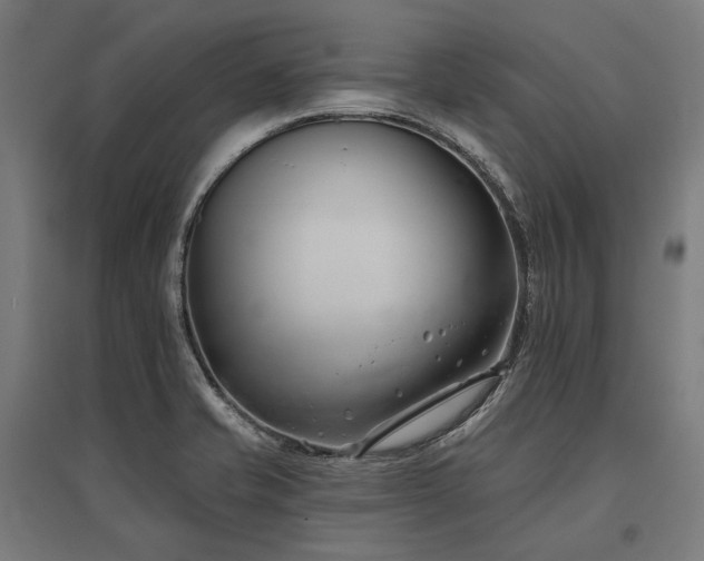 X0000096151421200801181152