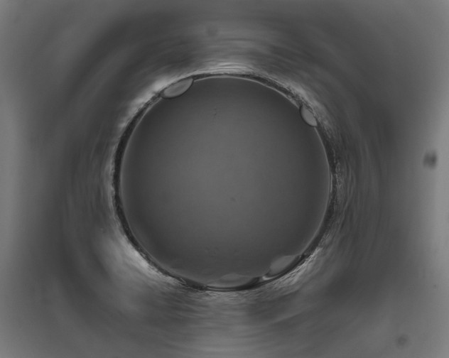 X0000096151422200801181152