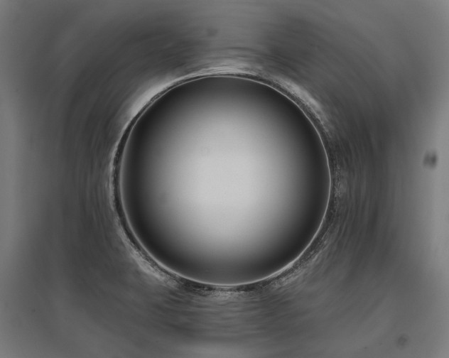 X0000096151423200801181152