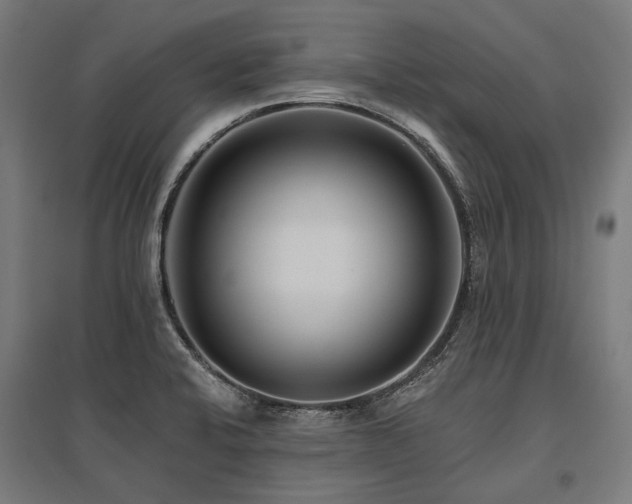 X0000096151424200801181152