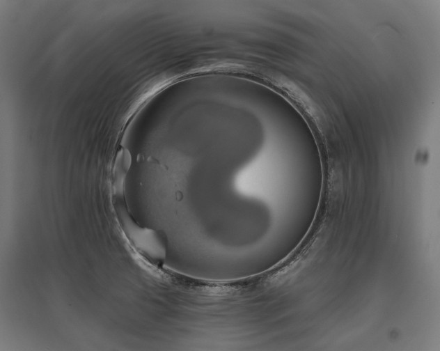 X0000096151425200801181152