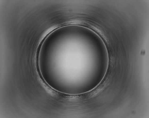 X0000096151426200801181152