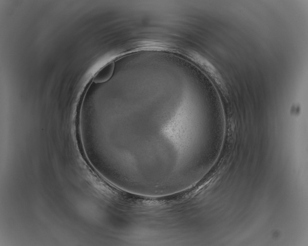 X0000096151427200801181152