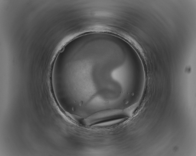X0000096151429200801181152