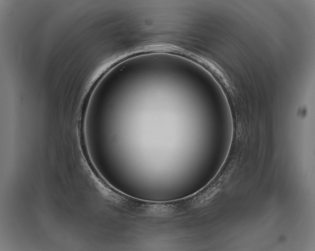 X0000096151430200801181152