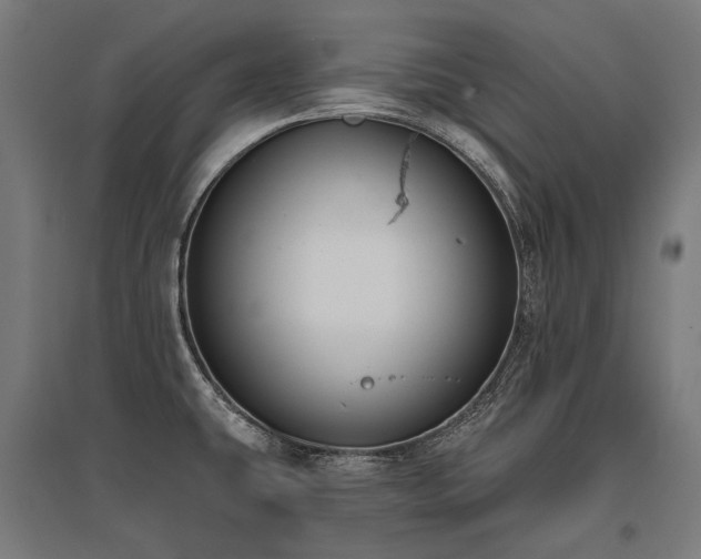 X0000096151431200801181152