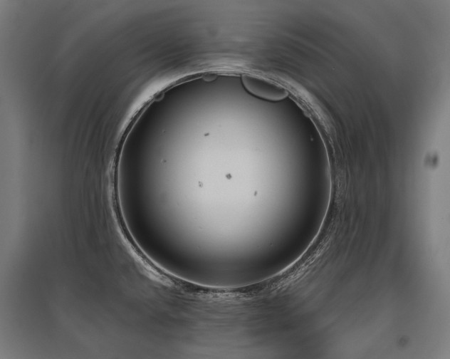 X0000096151432200801181152