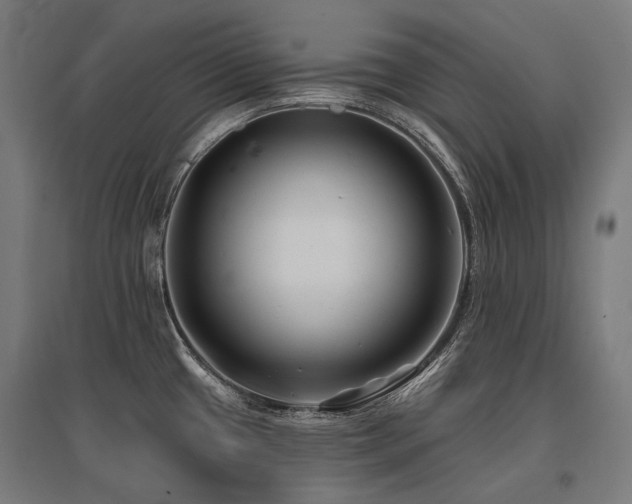 X0000096151433200801181152