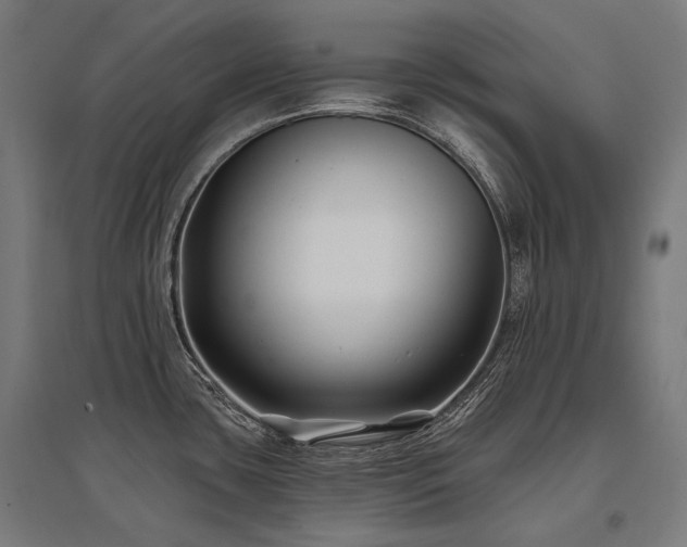 X0000096151435200801181152