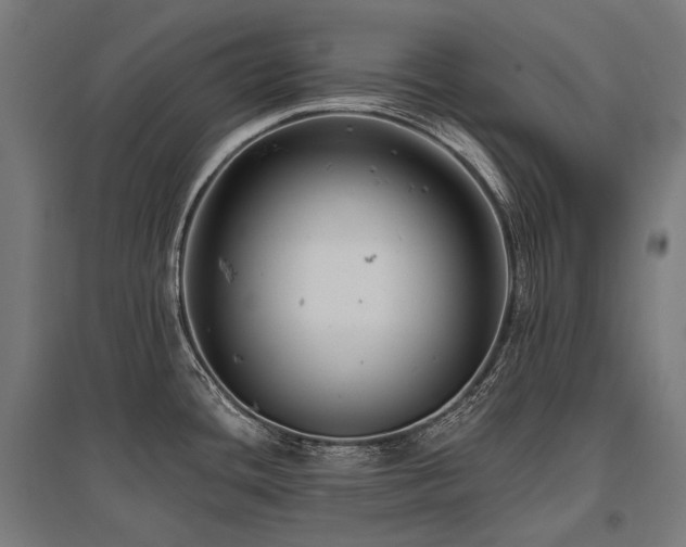 X0000096151436200801181152