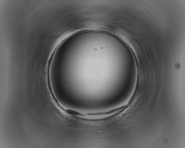 X0000096151437200801181152