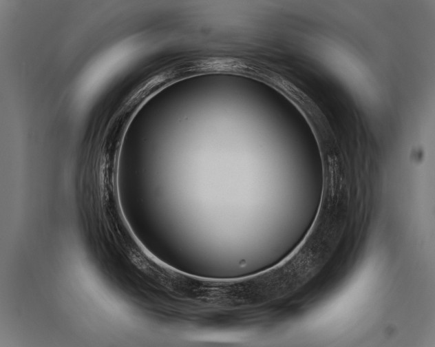 X0000096151438200801181152
