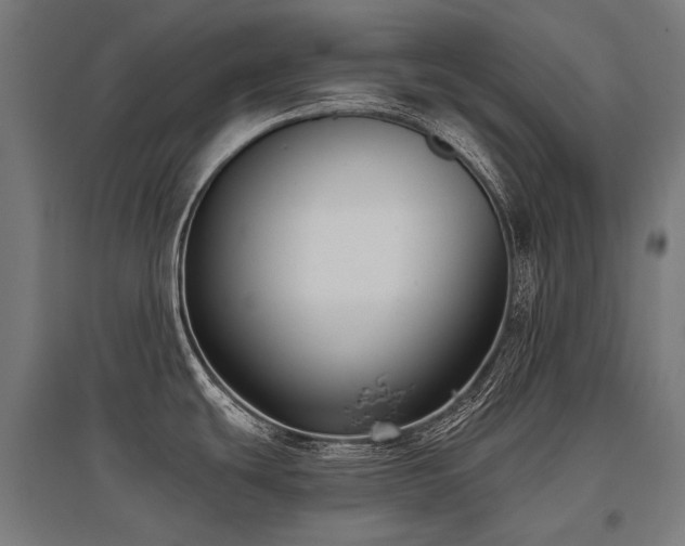 X0000096151439200801181152