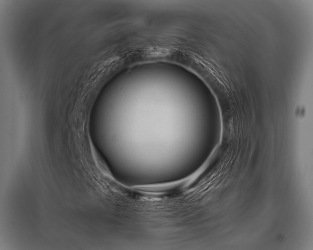 X0000096151441200801181151