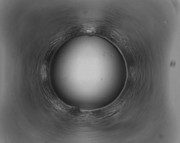 X0000096151442200801181151
