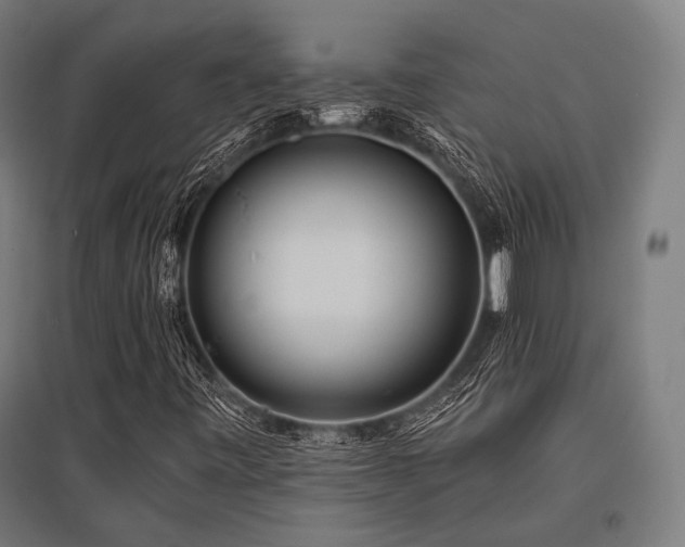 X0000096151443200801181151