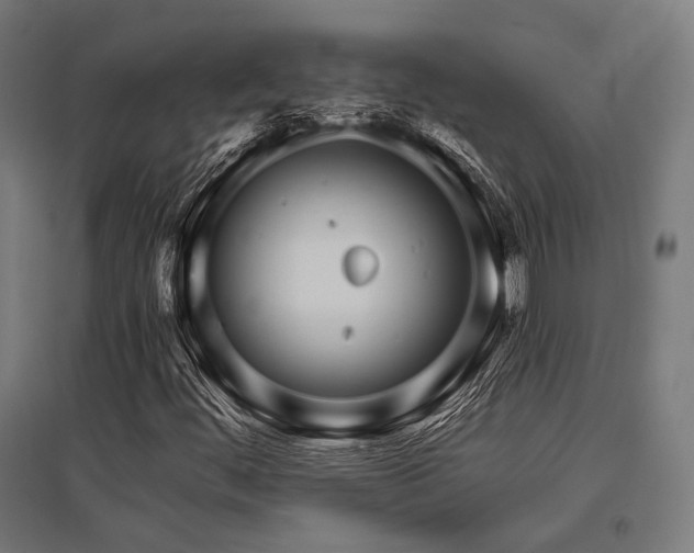X0000096151444200801181151