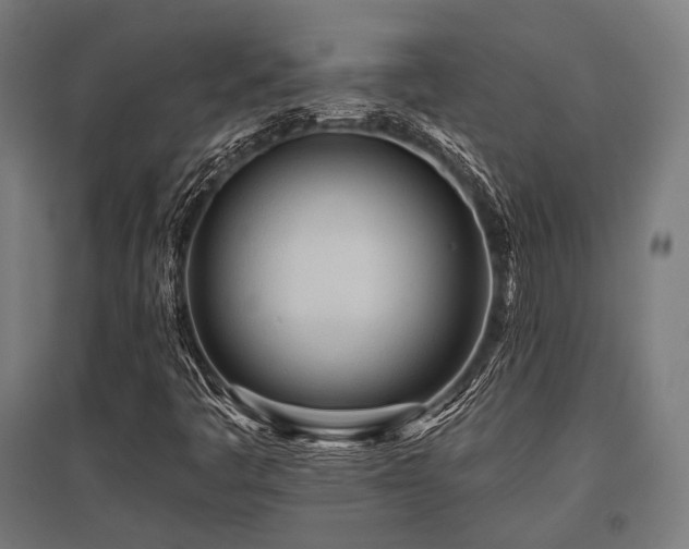 X0000096151445200801181151