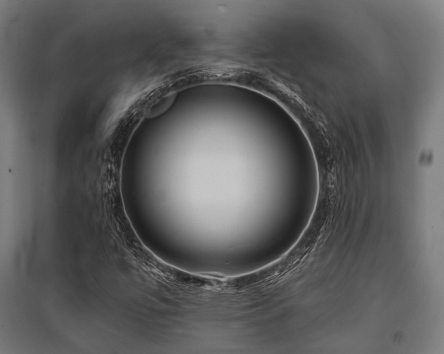 X0000096151447200801181151