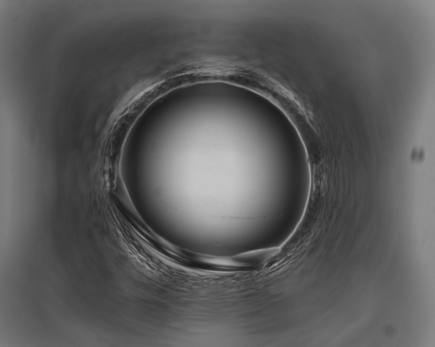 X0000096151448200801181151