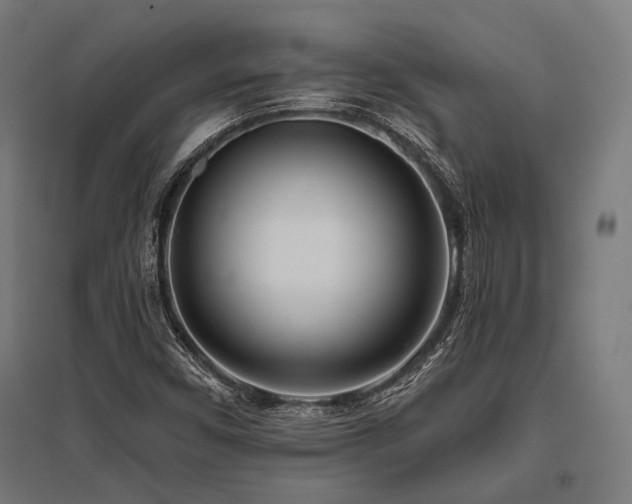 X0000096151450200801181151