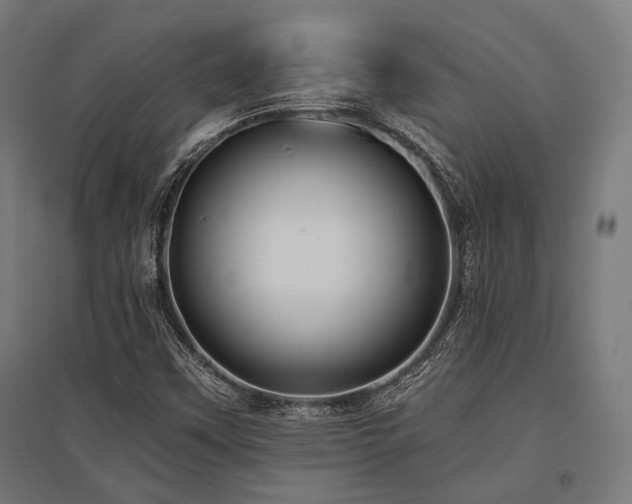 X0000096151451200801181151