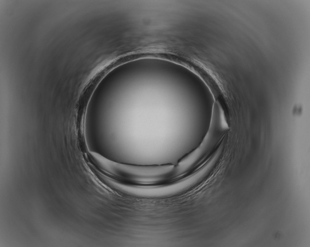 X0000096151452200801181151