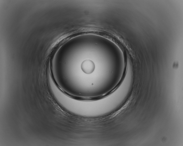 X0000096151453200801181151