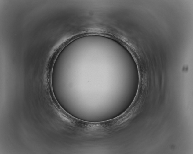 X0000096151454200801181151