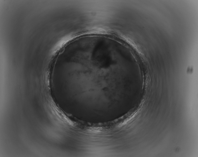X0000096151455200801181151